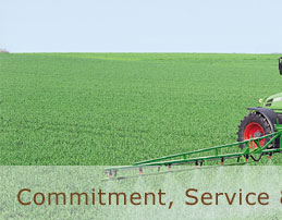 Commitment